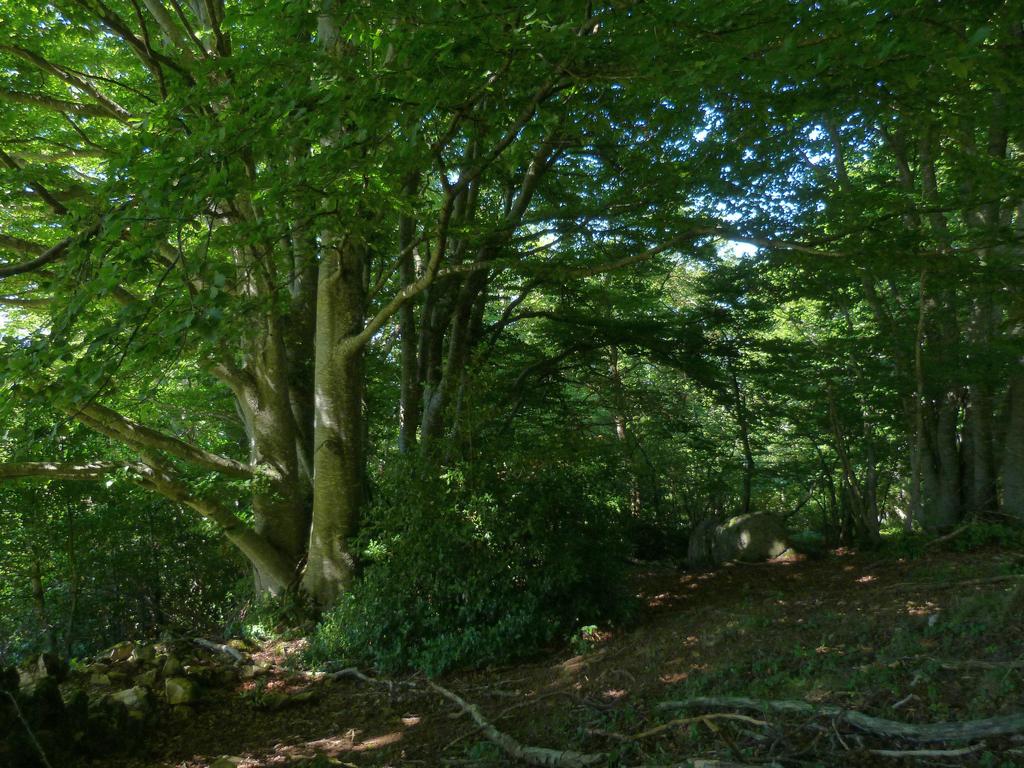 Clic pour l'image suivante