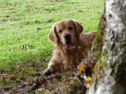 Clic pour agrandir l'image (1024x768 pixels; 154 KB)