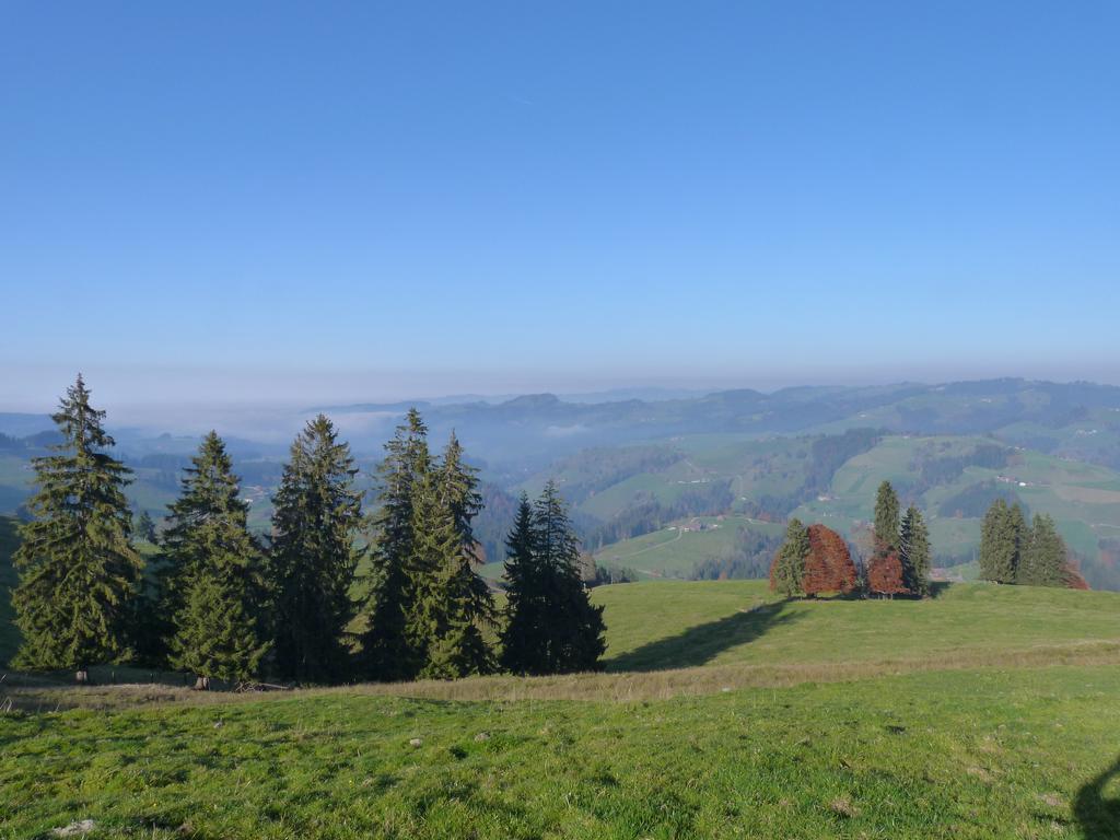 Clic pour l'image suivante