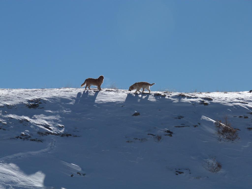 Clic pour l'image suivante