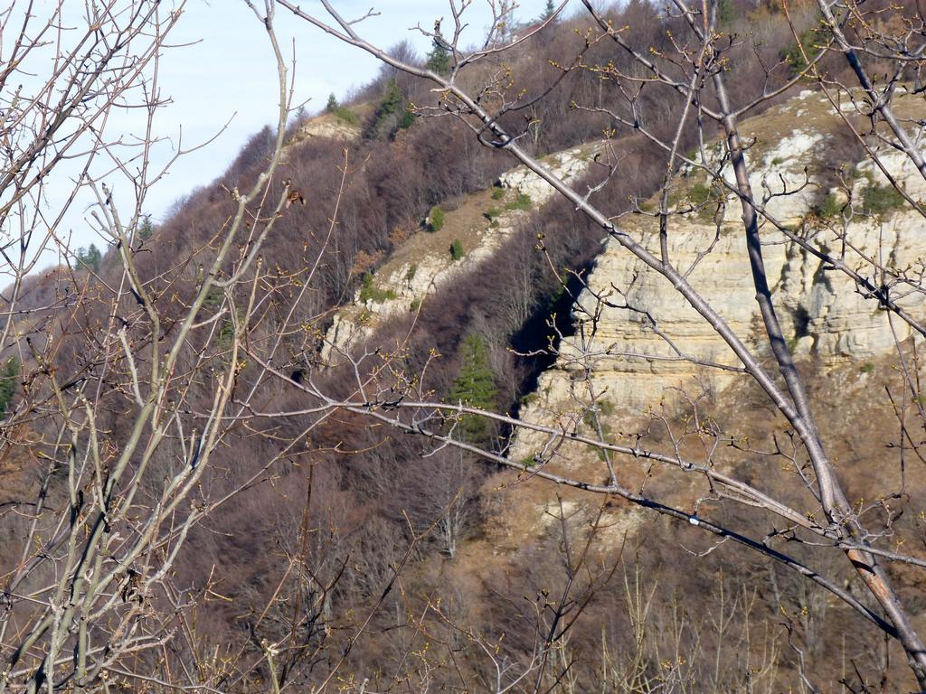 Clic pour l'image suivante