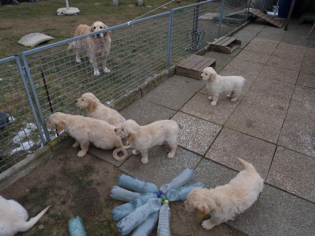 Clic pour l'image suivante