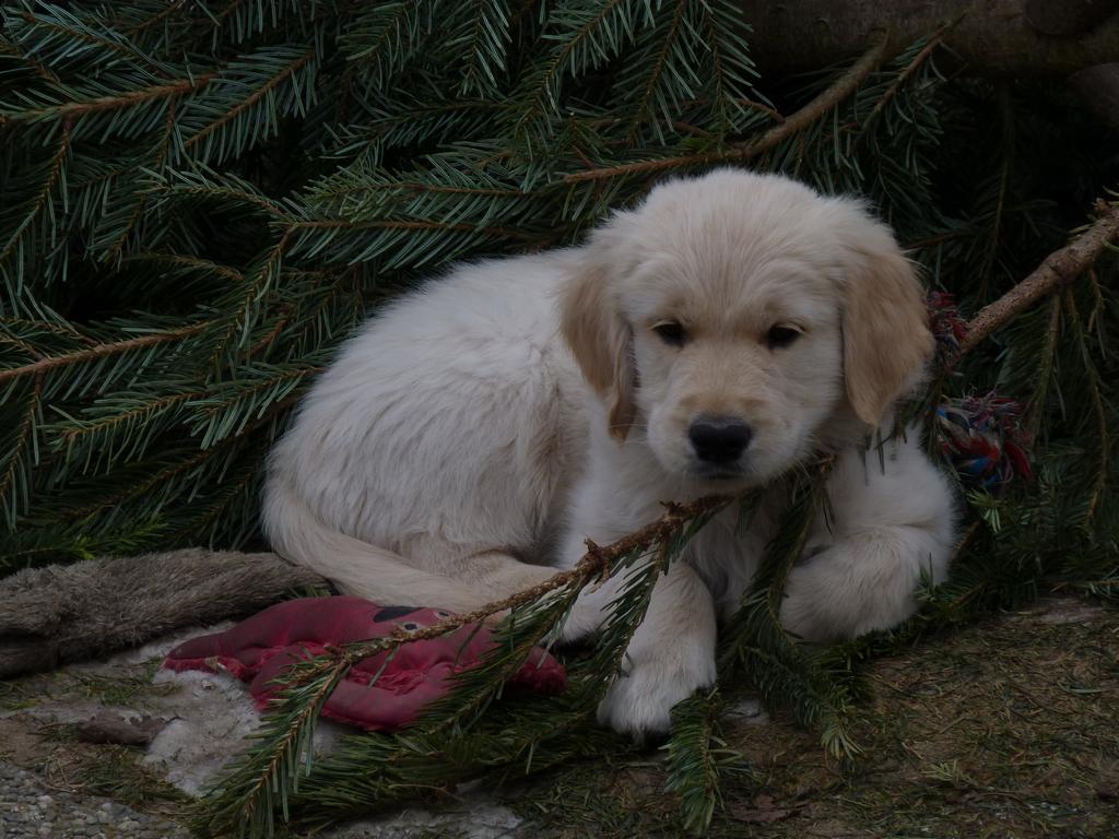 Clic pour l'image suivante