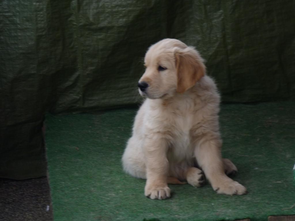 Clic pour l'image suivante