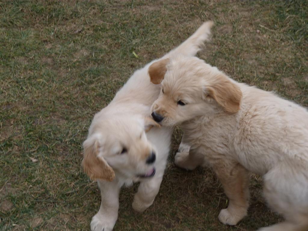 Clic pour l'image suivante