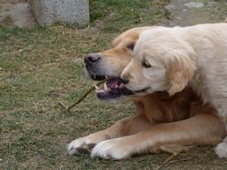 Clic pour agrandir l'image (1024x768 pixels; 155 KB)