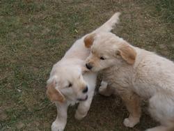 Clic pour agrandir l'image (1024x768 pixels; 104 KB)