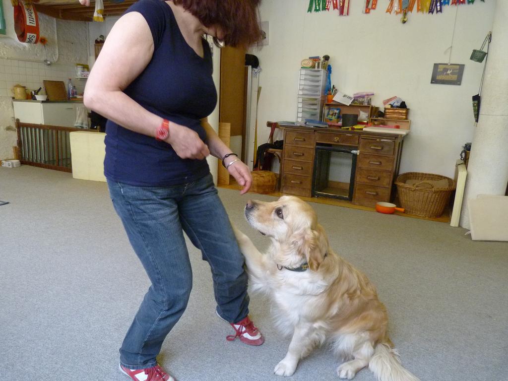 Clic pour l'image suivante