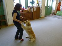 Clic pour agrandir l'image (1024x768 pixels; 98 KB)