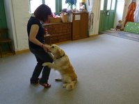 Clic pour agrandir l'image (1024x768 pixels; 104 KB)