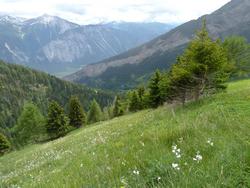 Clic pour agrandir l'image (1024x768 pixels; 173 KB)