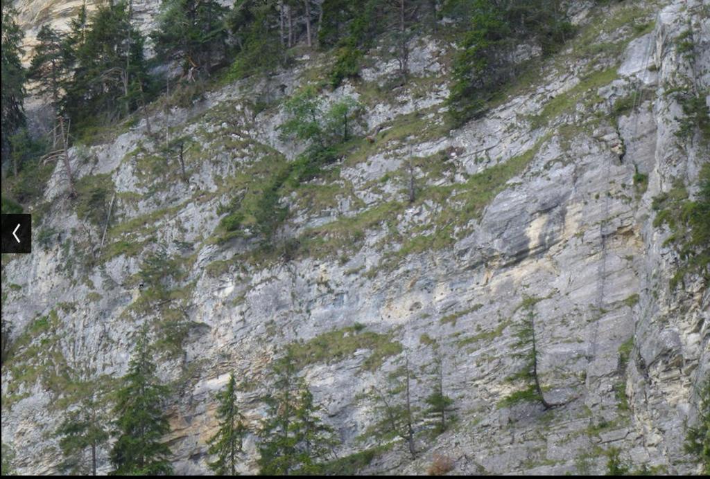 Clic pour l'image suivante