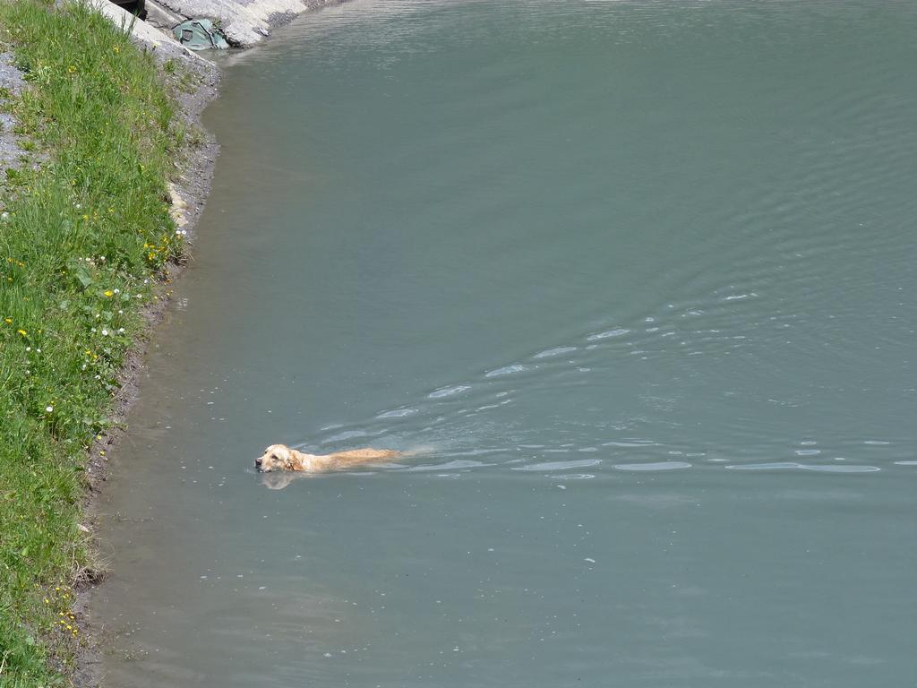 Clic pour l'image suivante