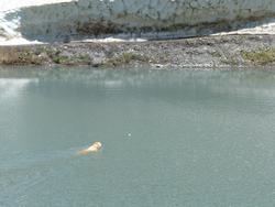 Clic pour agrandir l'image (1024x768 pixels; 138 KB)