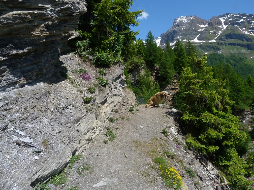 Clic pour l'image suivante