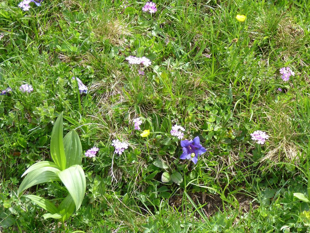 Clic pour l'image suivante