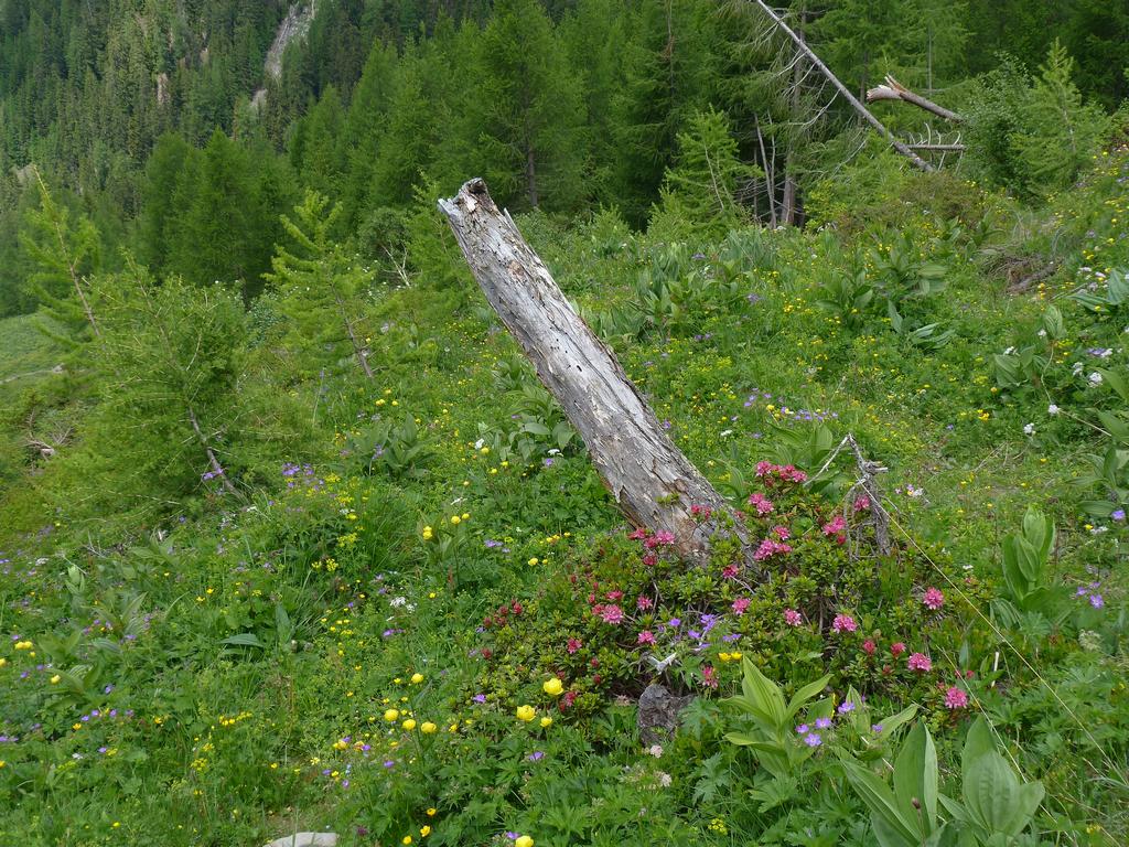 Clic pour l'image suivante