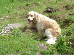 Clic pour agrandir l'image (1024x768 pixels; 243 KB)