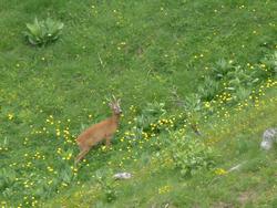 Clic pour agrandir l'image (1024x768 pixels; 156 KB)