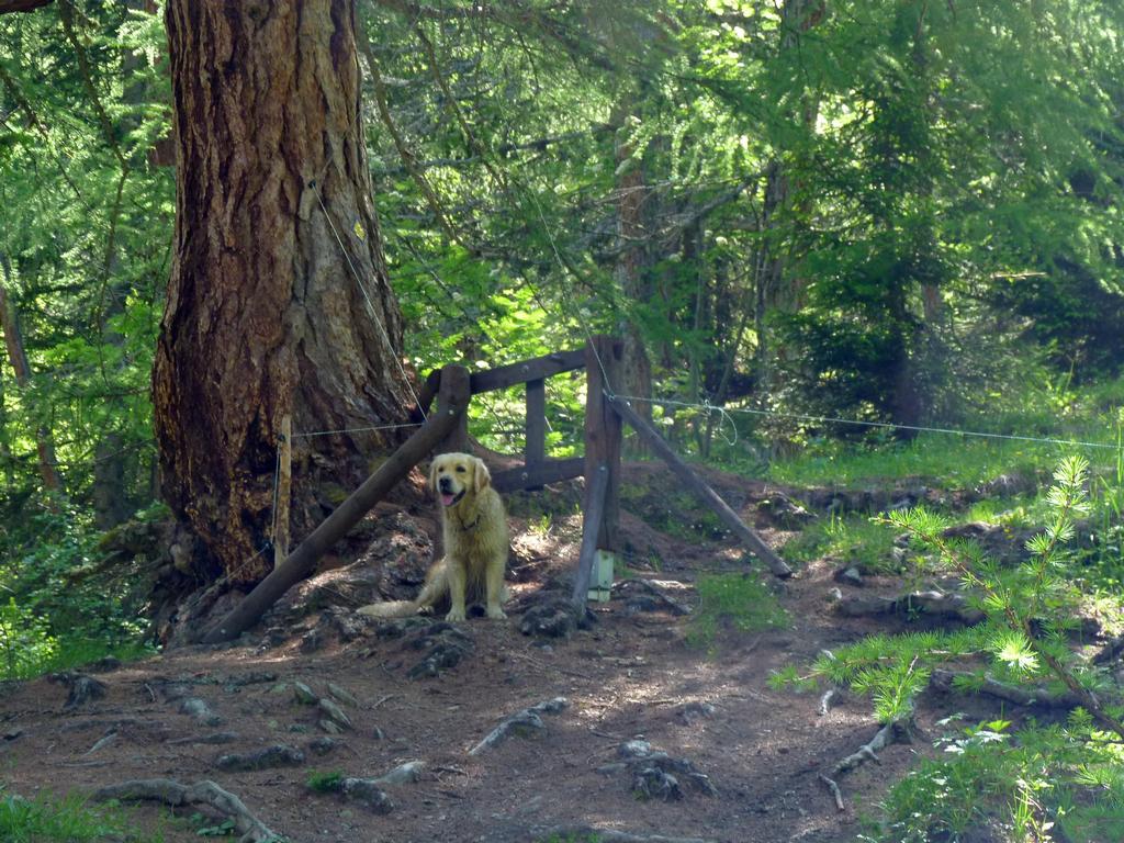 Clic pour l'image suivante