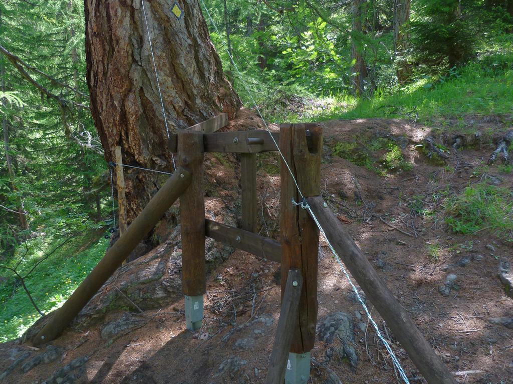 Clic pour l'image suivante