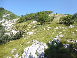 Clic pour agrandir l'image (1024x768 pixels; 290 KB)