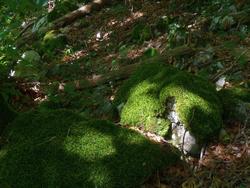 Clic pour agrandir l'image (1024x768 pixels; 176 KB)