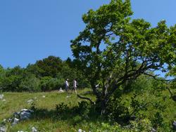 Clic pour agrandir l'image (1024x768 pixels; 198 KB)