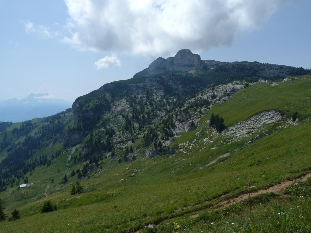 Clic pour l'image suivante