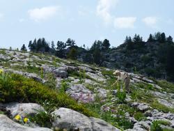 Clic pour agrandir l'image (1024x768 pixels; 143 KB)