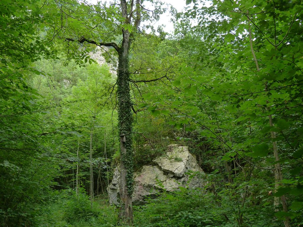 Clic pour l'image suivante