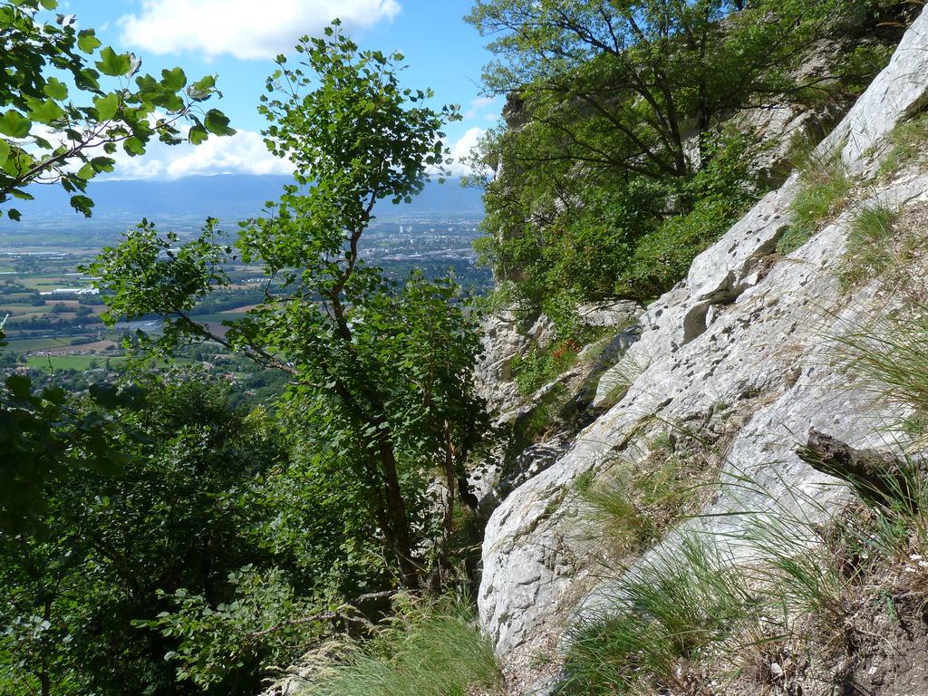 Clic pour l'image suivante