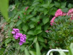 Clic pour agrandir l'image (1024x768 pixels; 101 KB)