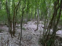 Clic pour agrandir l'image (1024x768 pixels; 235 KB)