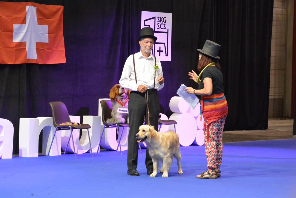 Clic pour l'image suivante