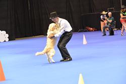 Clic pour agrandir l'image (1024x683 pixels; 60 KB)