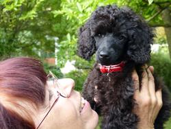 Clic pour agrandir l'image (1024x768 pixels; 108 KB)