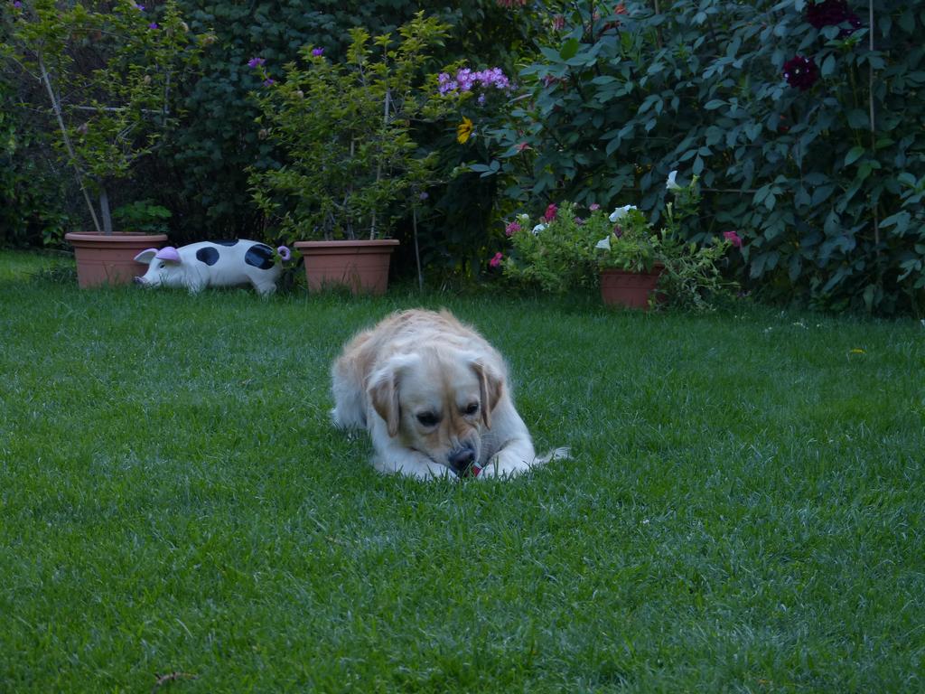 Clic pour l'image suivante