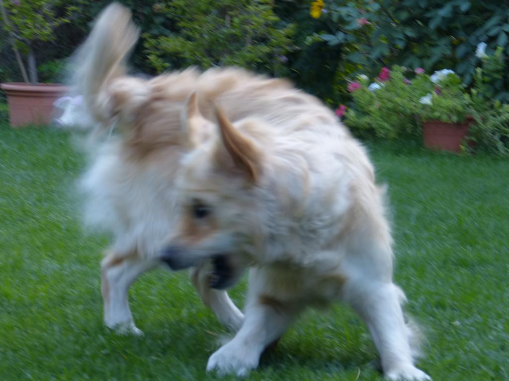 Clic pour l'image suivante