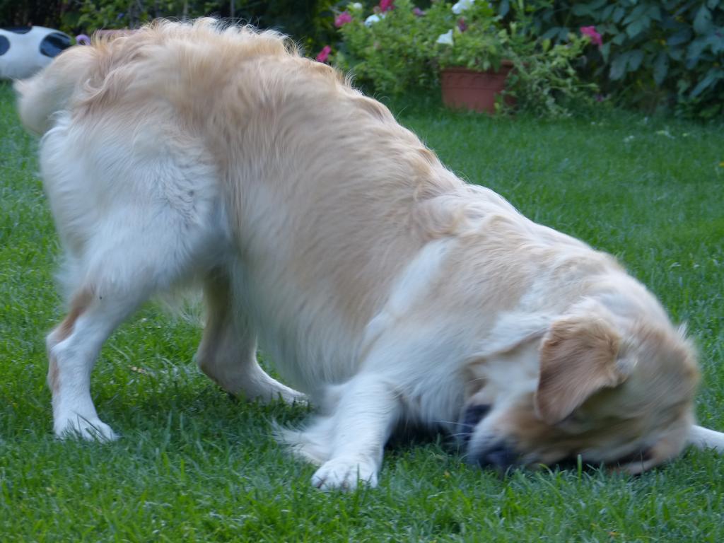 Clic pour l'image suivante