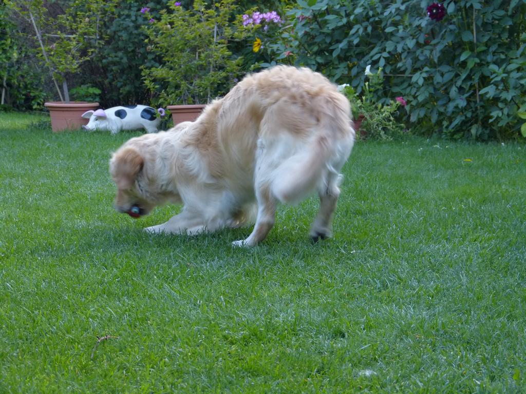 Clic pour l'image suivante