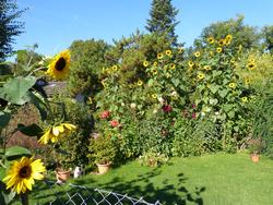 Clic pour agrandir l'image (1024x768 pixels; 253 KB)