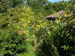 Clic pour agrandir l'image (1024x768 pixels; 272 KB)