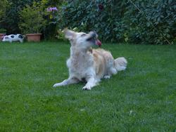 Clic pour agrandir l'image (1024x768 pixels; 156 KB)