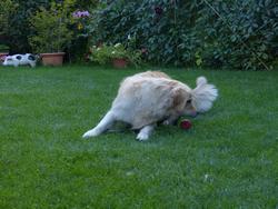 Clic pour agrandir l'image (1024x768 pixels; 150 KB)