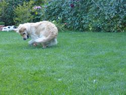 Clic pour agrandir l'image (1024x768 pixels; 187 KB)