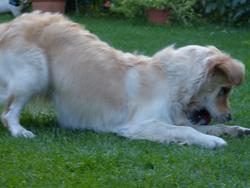 Clic pour agrandir l'image (1024x768 pixels; 85 KB)