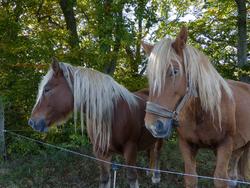 Clic pour agrandir l'image (1024x768 pixels; 195 KB)