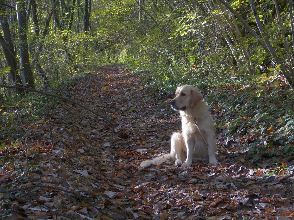 Clic pour l'image suivante