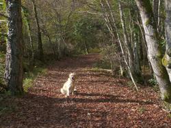 Clic pour agrandir l'image (1024x768 pixels; 239 KB)